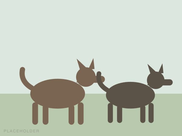 Multiple pets