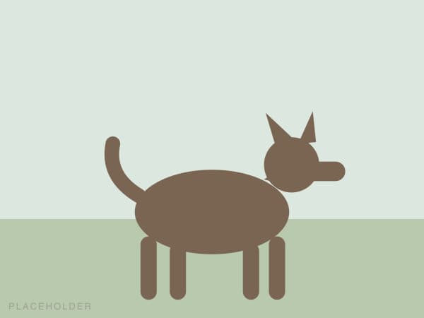 Full body visible, head to tail