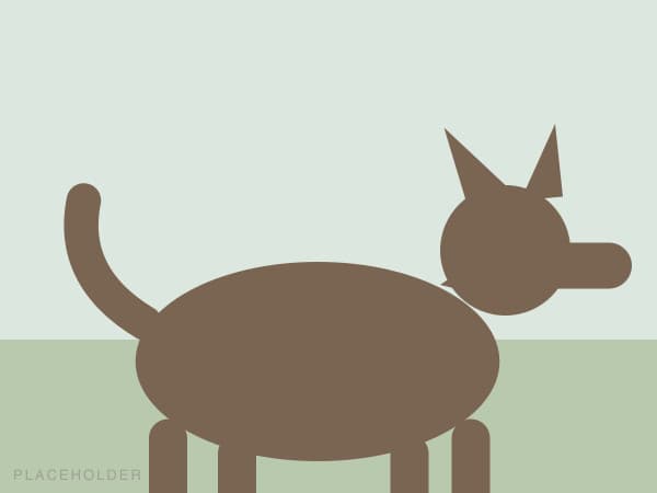 One pet, filling the frame